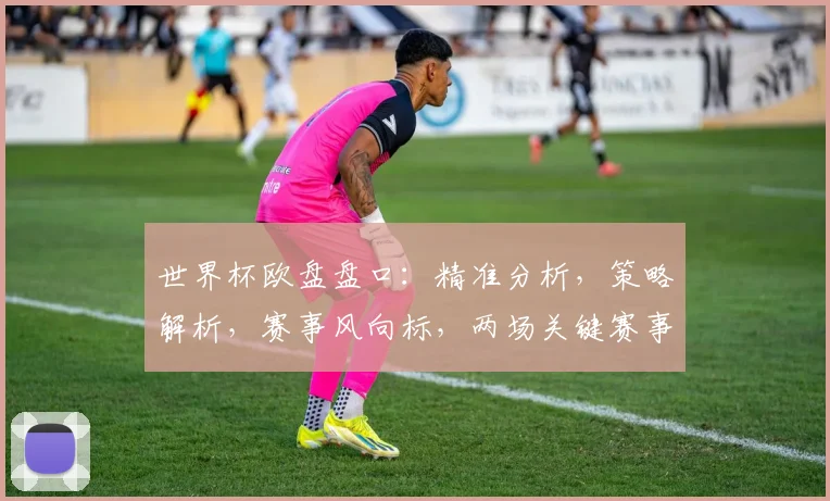 世界杯欧盘盘口：精准分析，策略解析，赛事风向标，两场关键赛事前瞻