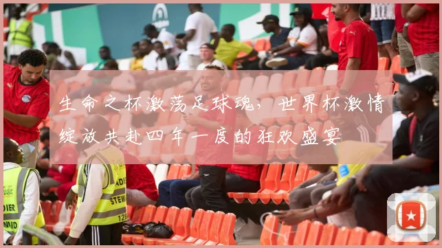 生命之杯激荡足球魂，世界杯激情绽放共赴四年一度的狂欢盛宴