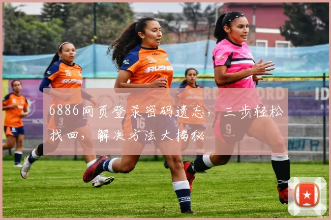 6886网页登录密码遗忘，三步轻松找回，解决方法大揭秘